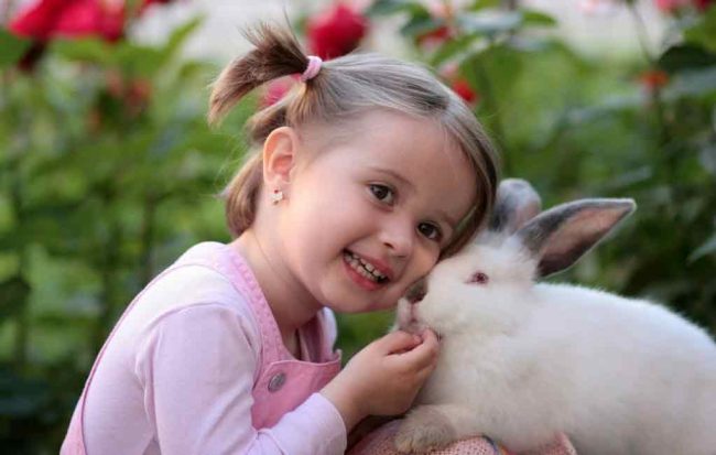 Kimler burun estetiği ameliyatı olamaz? Kimler burun estetiği ameliyatı olamaz?