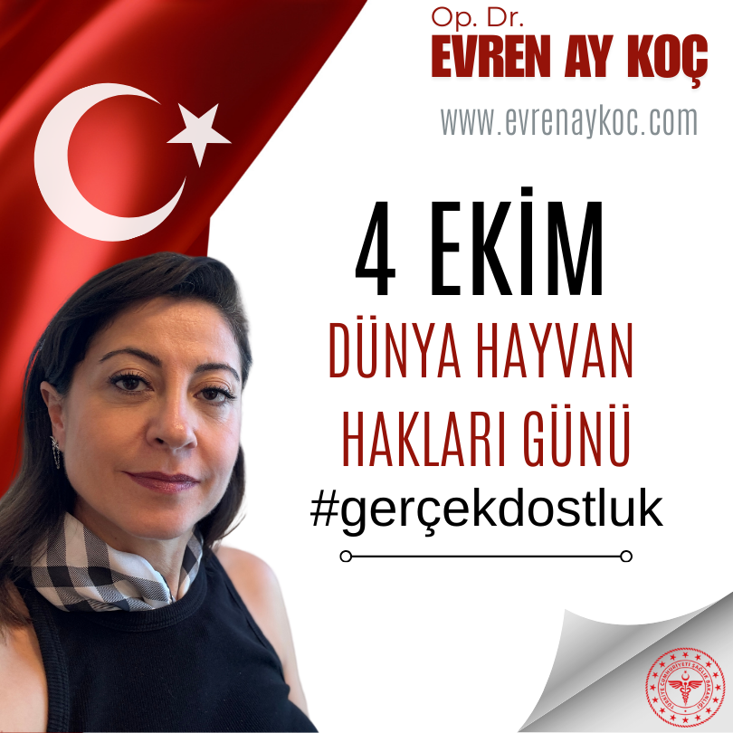 4 Ekim Dünya Hayvan Hakları Günü